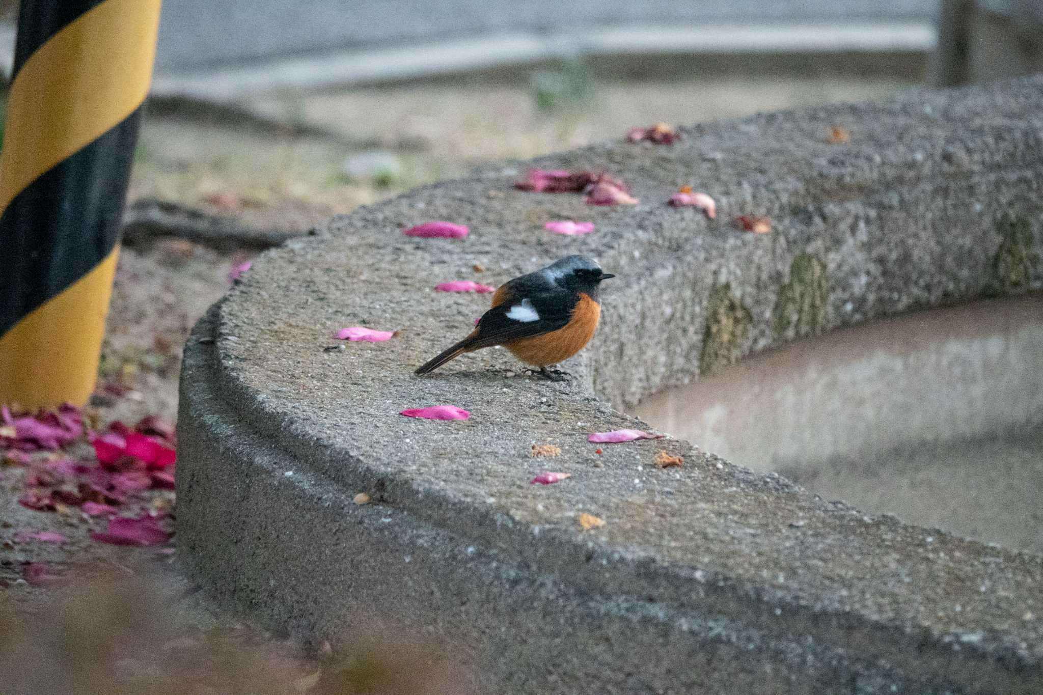 Untitled Photo by レスター