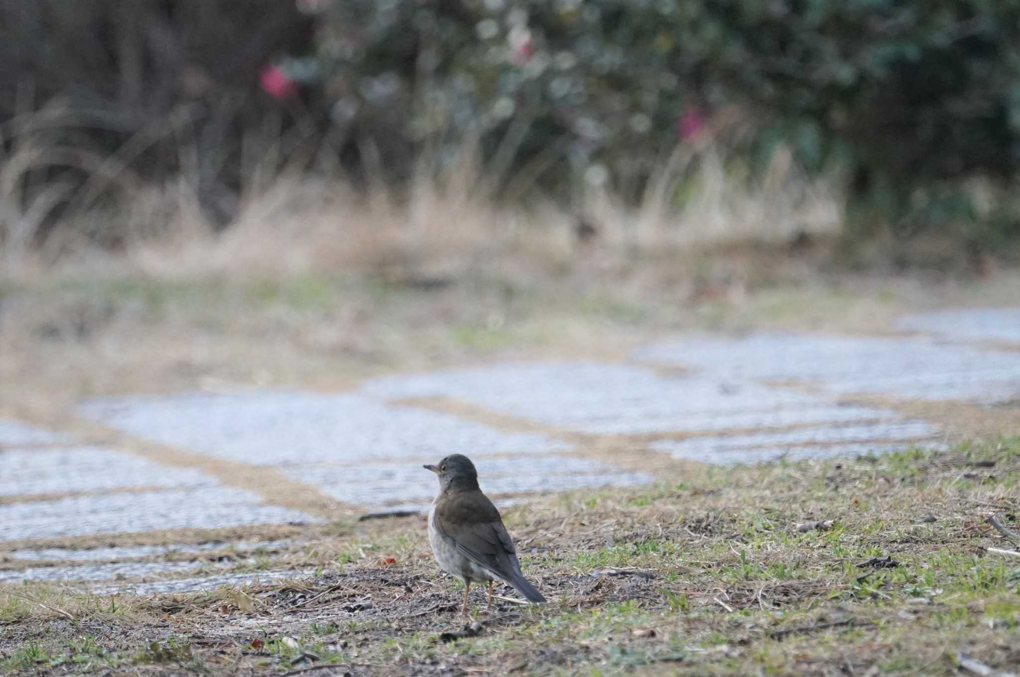 Untitled Photo by マル