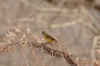 未同定 場所が不明 2019年2月14日(木)