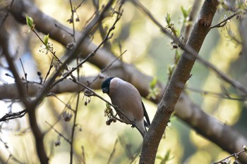 ウソ 場所が不明 2019年4月3日(水)