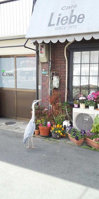 アオサギ 大阪府堺市 2019年4月5日(金)