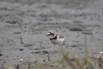 未同定 場所が不明 2019年4月14日(日)