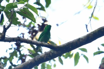 2019年2月27日(水) シーパンガー国立公園の野鳥観察記録