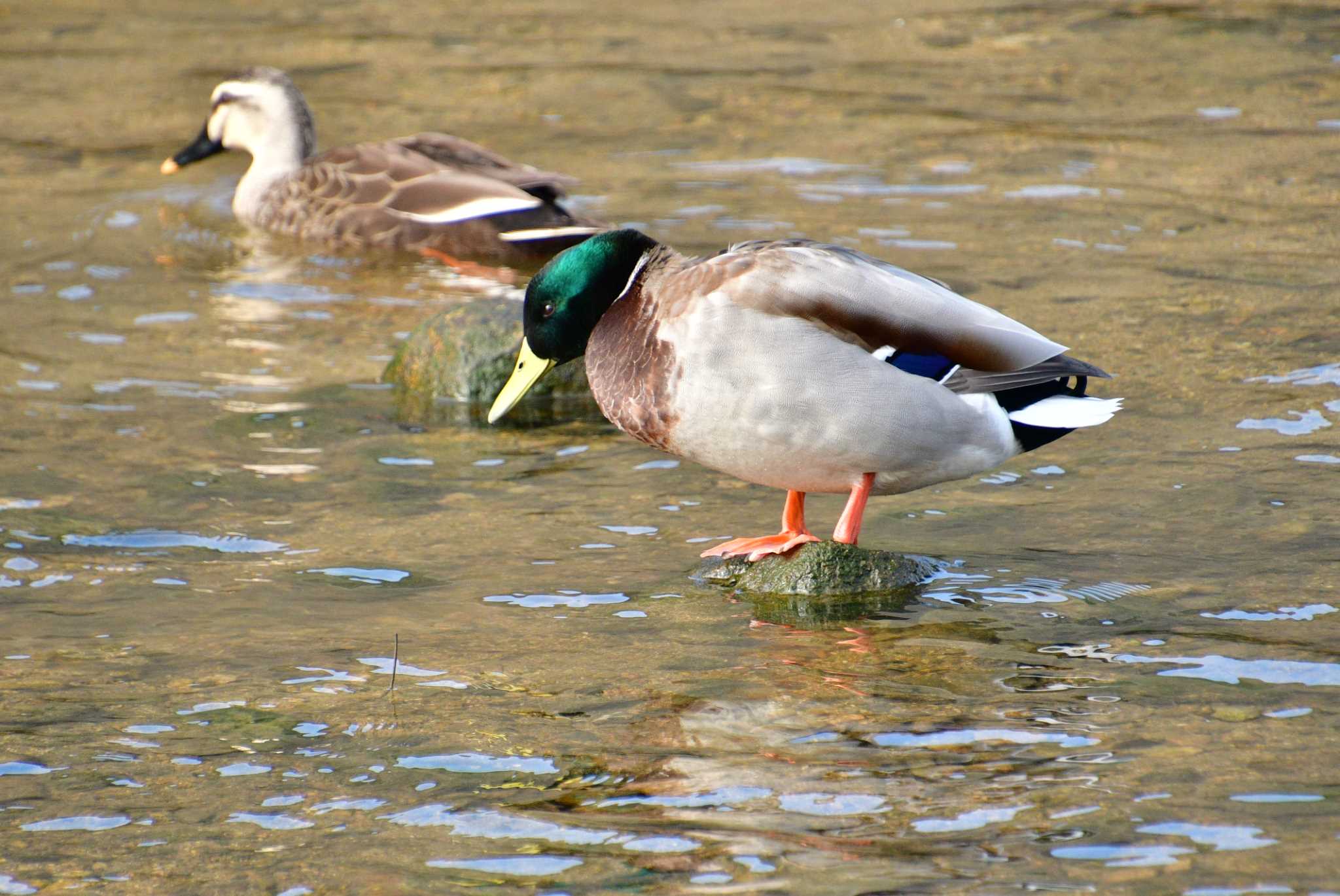 Untitled Photo by ヒロセ クニオ