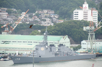 Black Kite 長崎 Mon, 7/22/2019