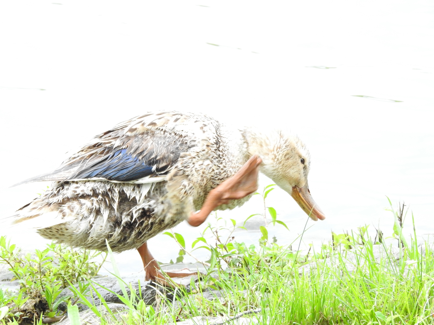 Untitled Photo by トレホ