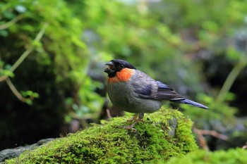 ウソ 場所が不明 2019年8月24日(土)