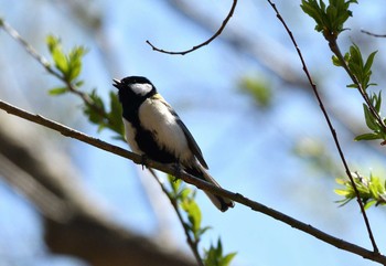 未同定 場所が不明 2019年4月28日(日)