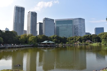 未同定 場所が不明 2019年8月25日(日)