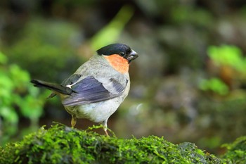 ウソ 場所が不明 2019年9月7日(土)