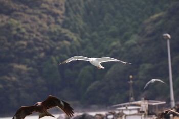 未同定 場所が不明 2019年10月15日(火)