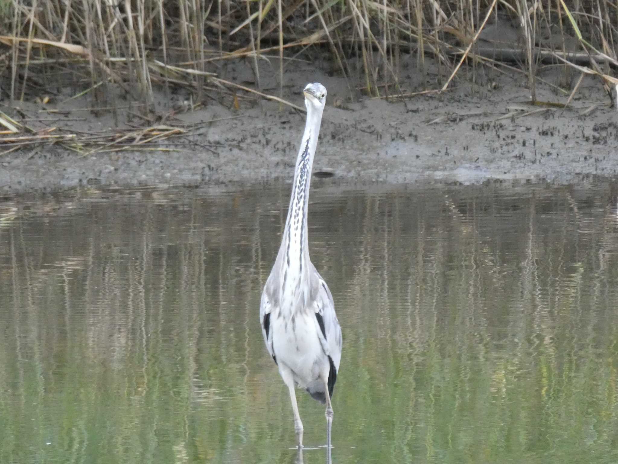 葛西臨海公園にて