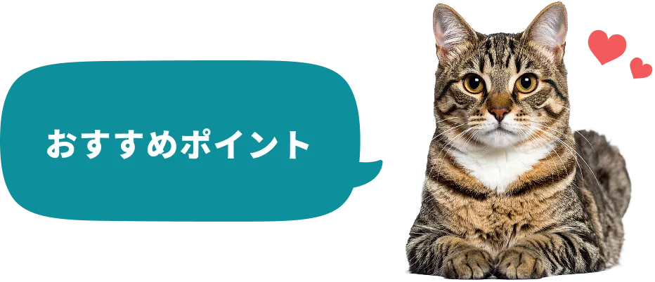 おすすめポイント