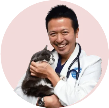 ねこと犬