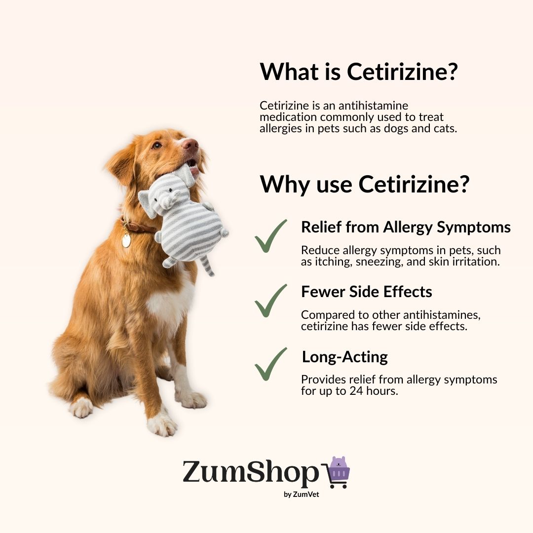 can i give my dog cetirizine hydrochloride for itching