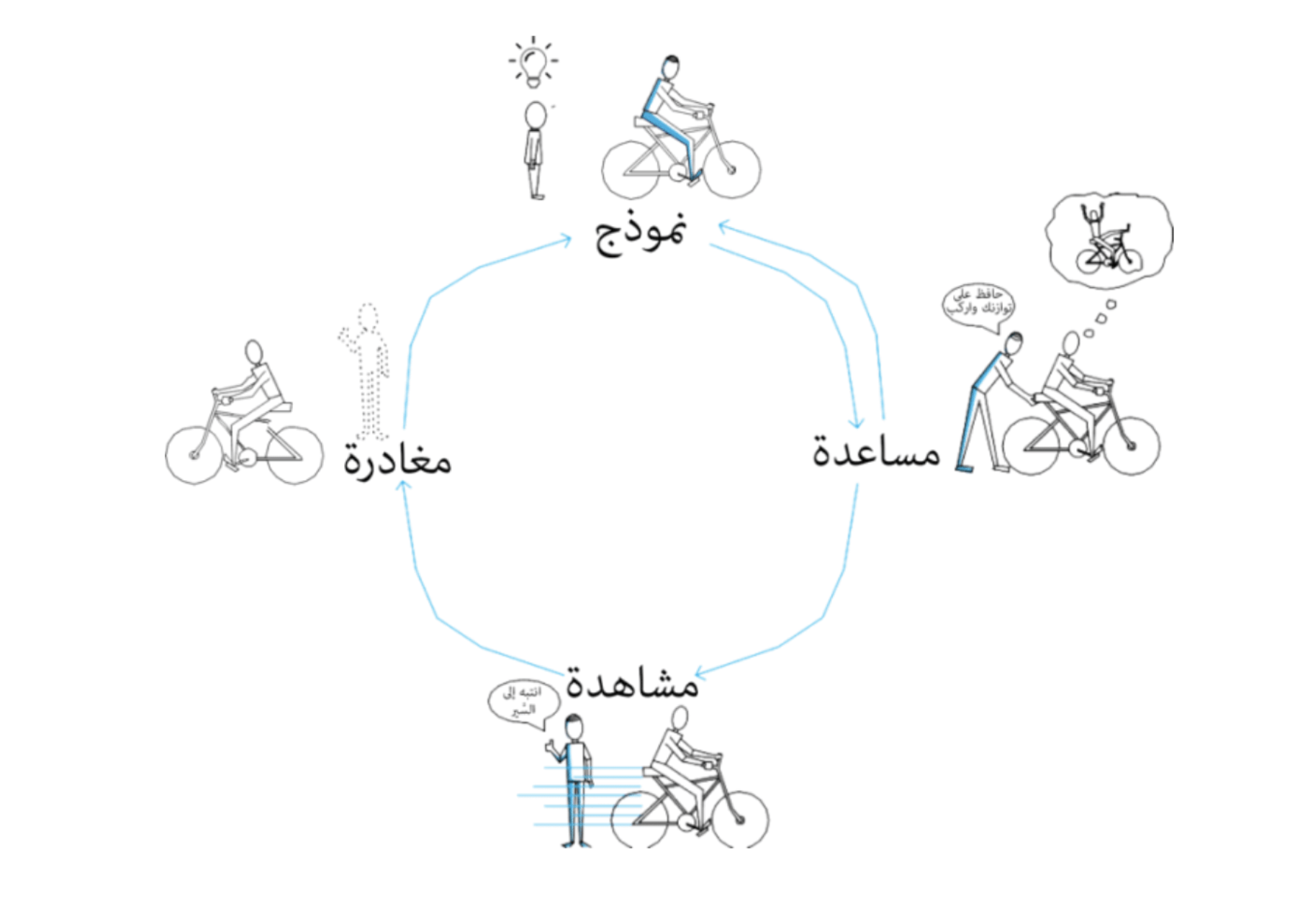 training cycle