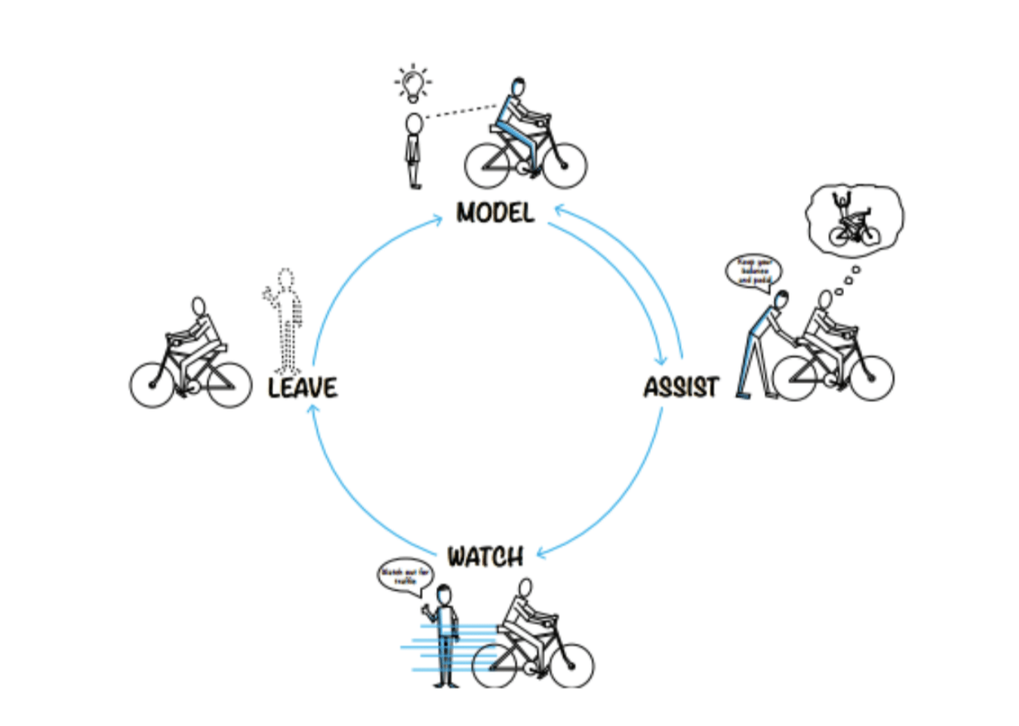 training cycle