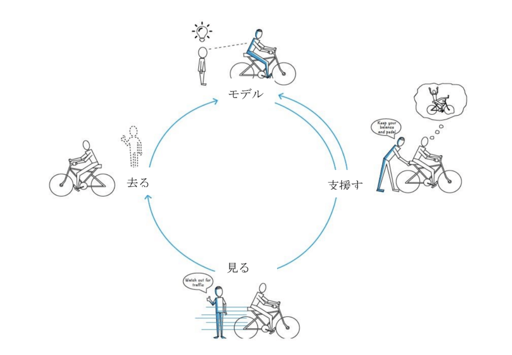 training cycle