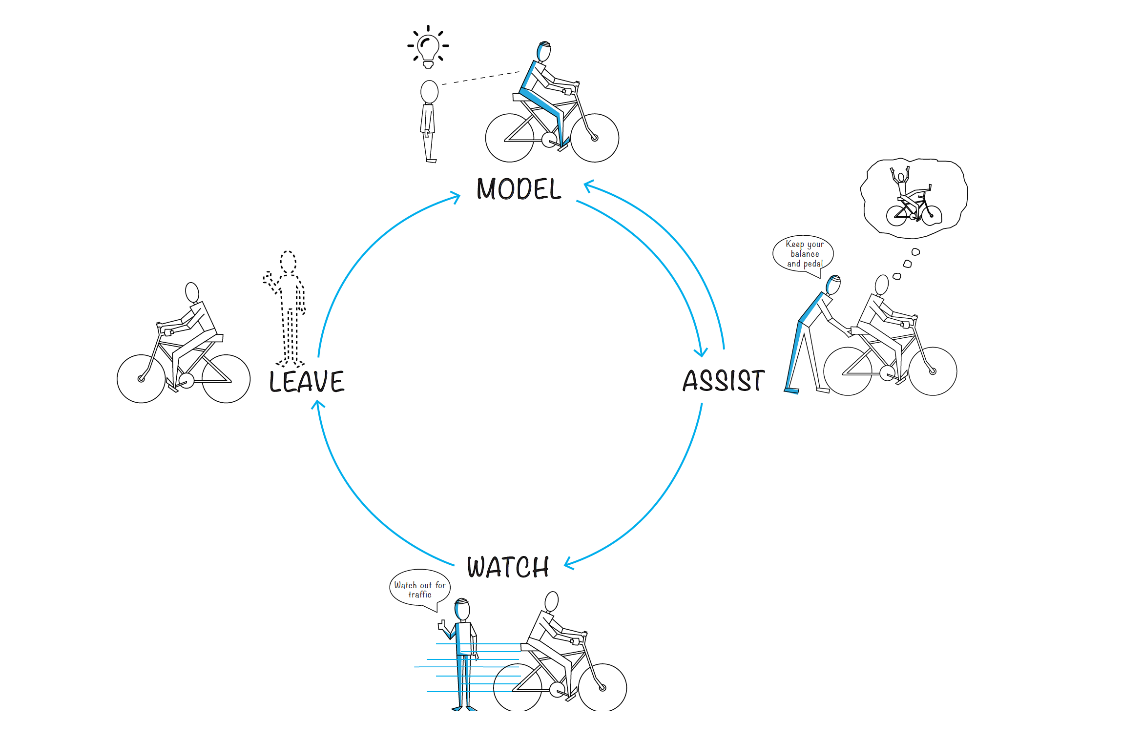 training cycle