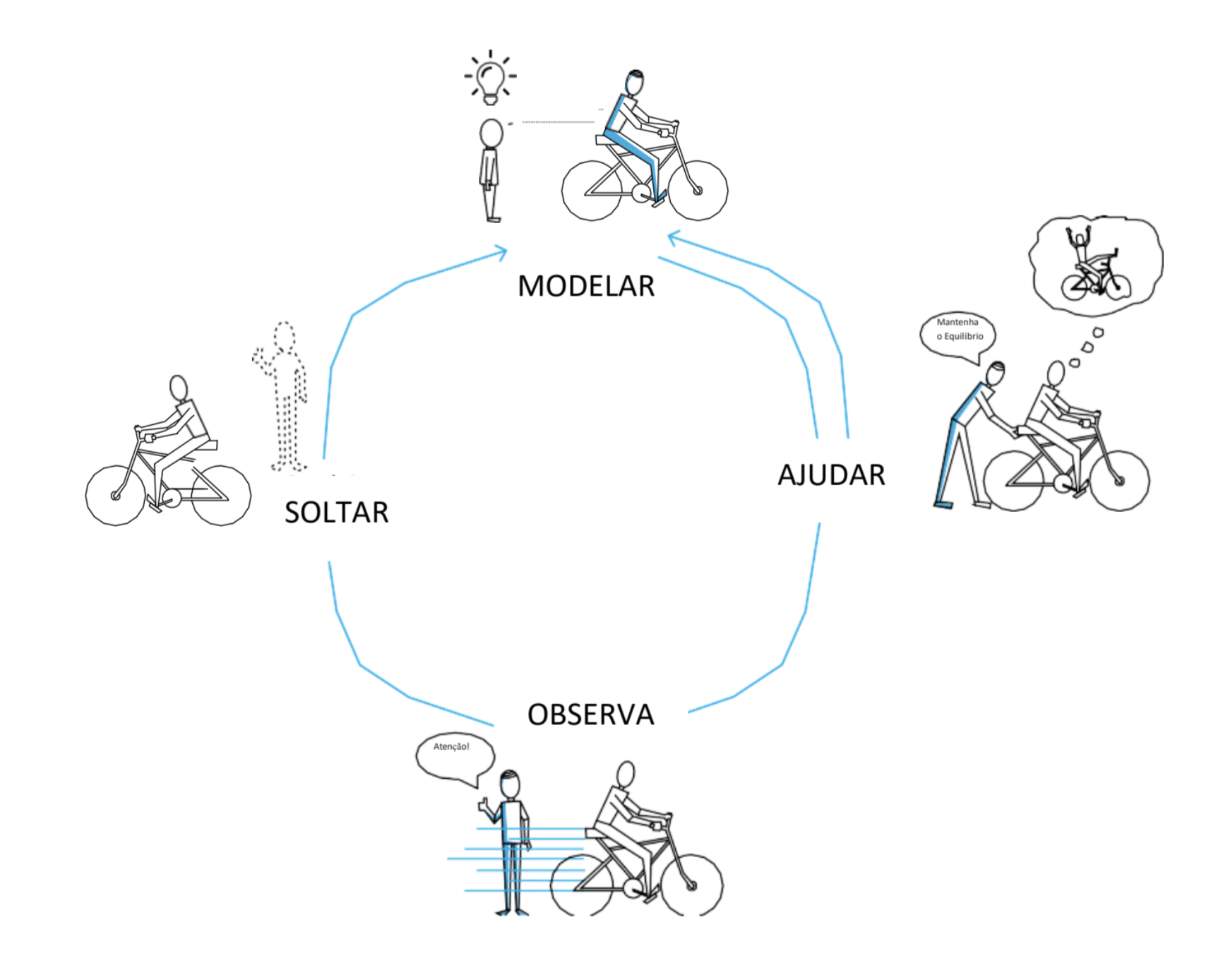 training cycle
