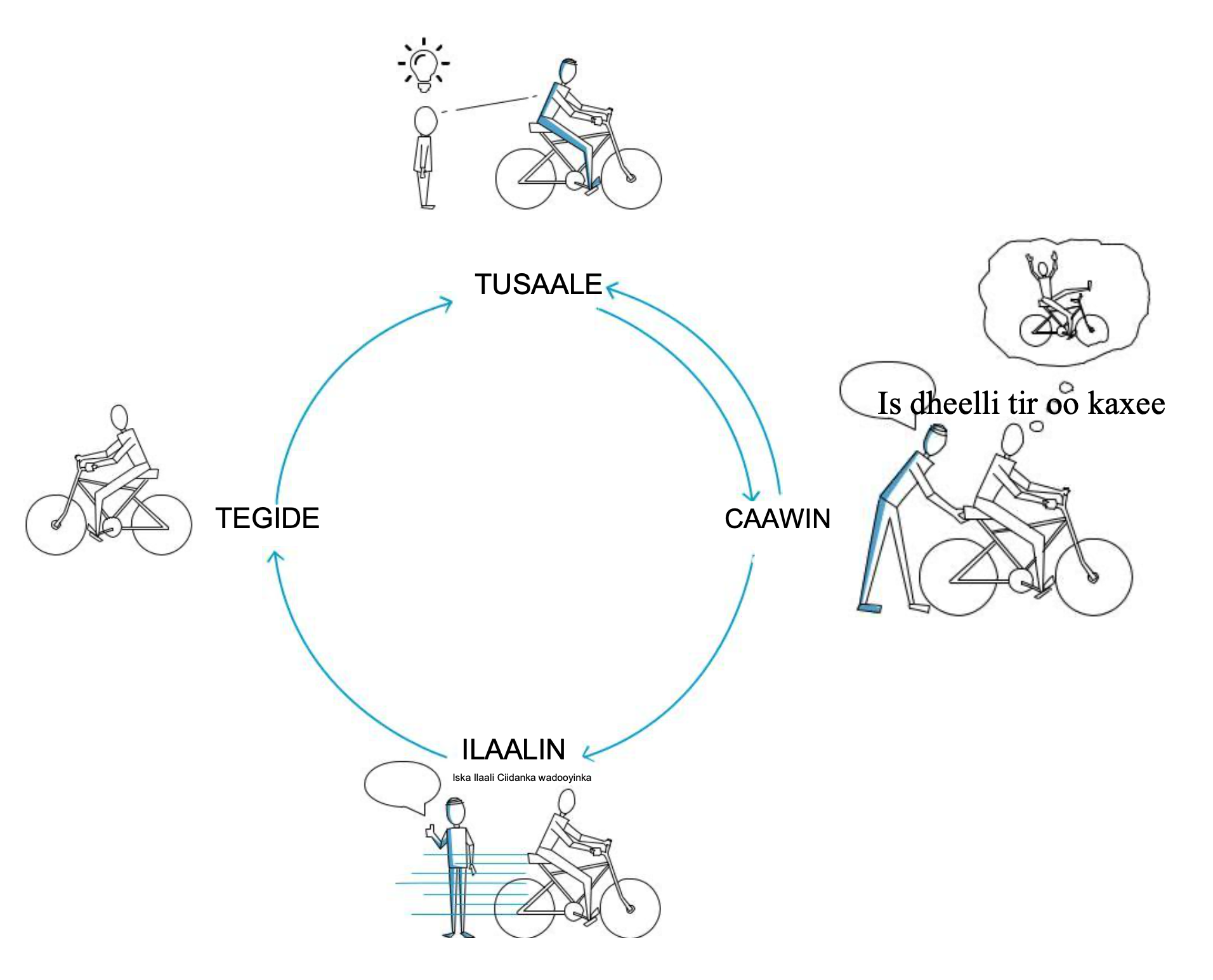 training cycle