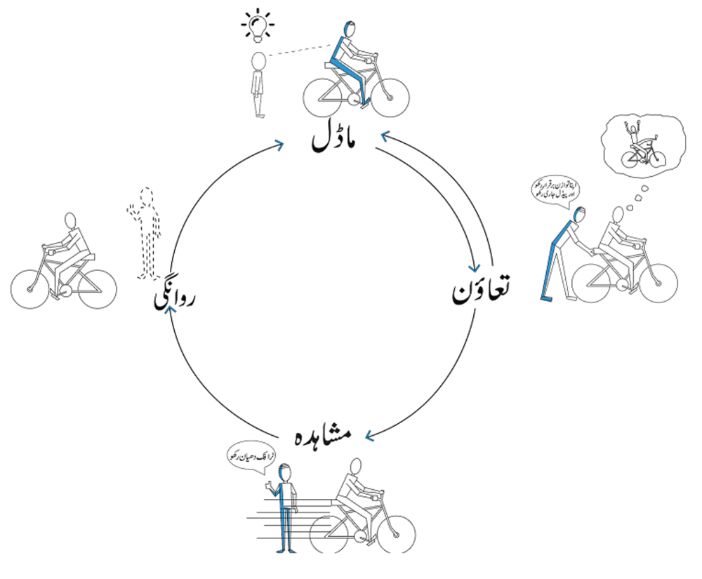 training cycle