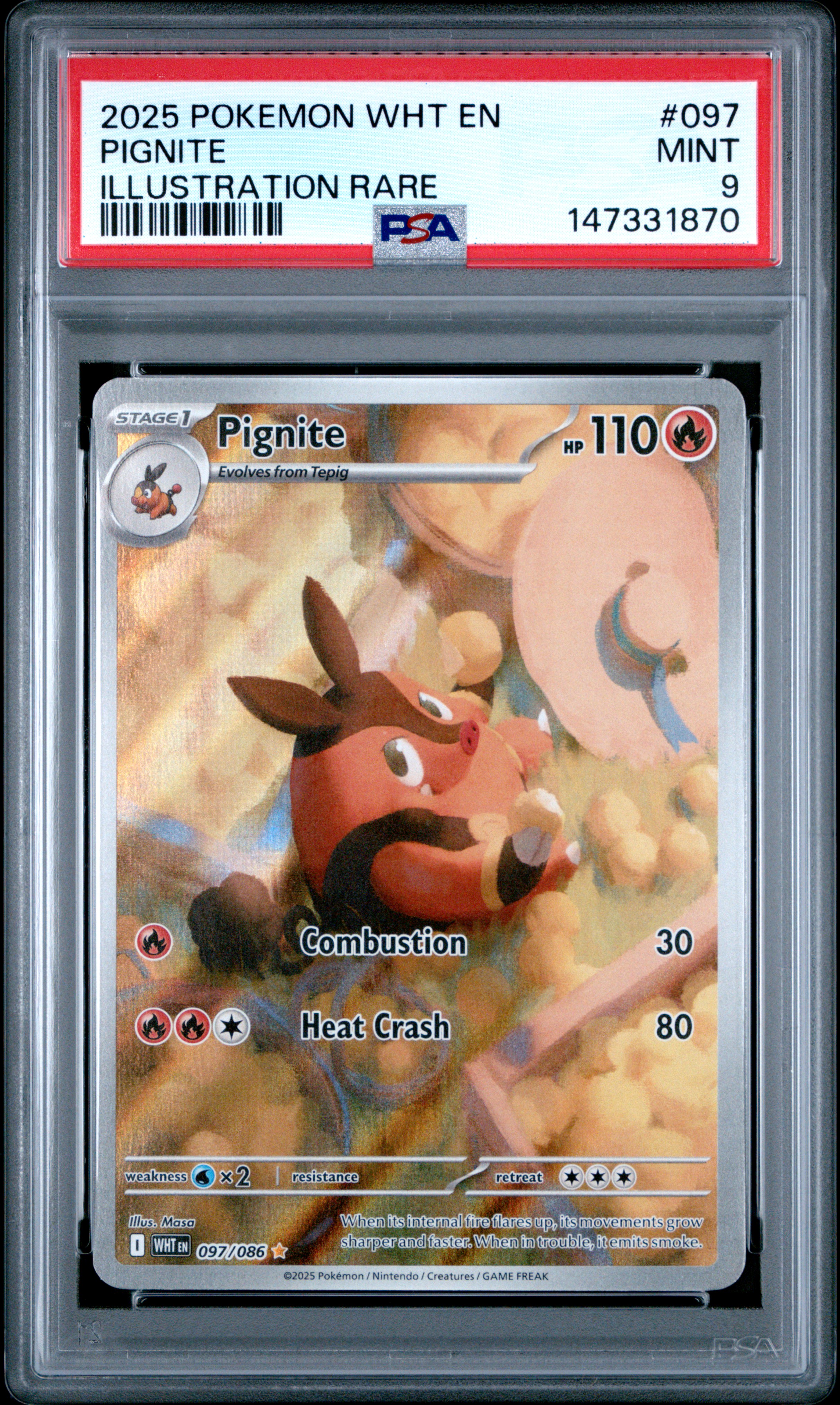 2025 POKEMON WHT EN-WHITE FLARE #097 PIGNITE ILLUSTRATION RARE