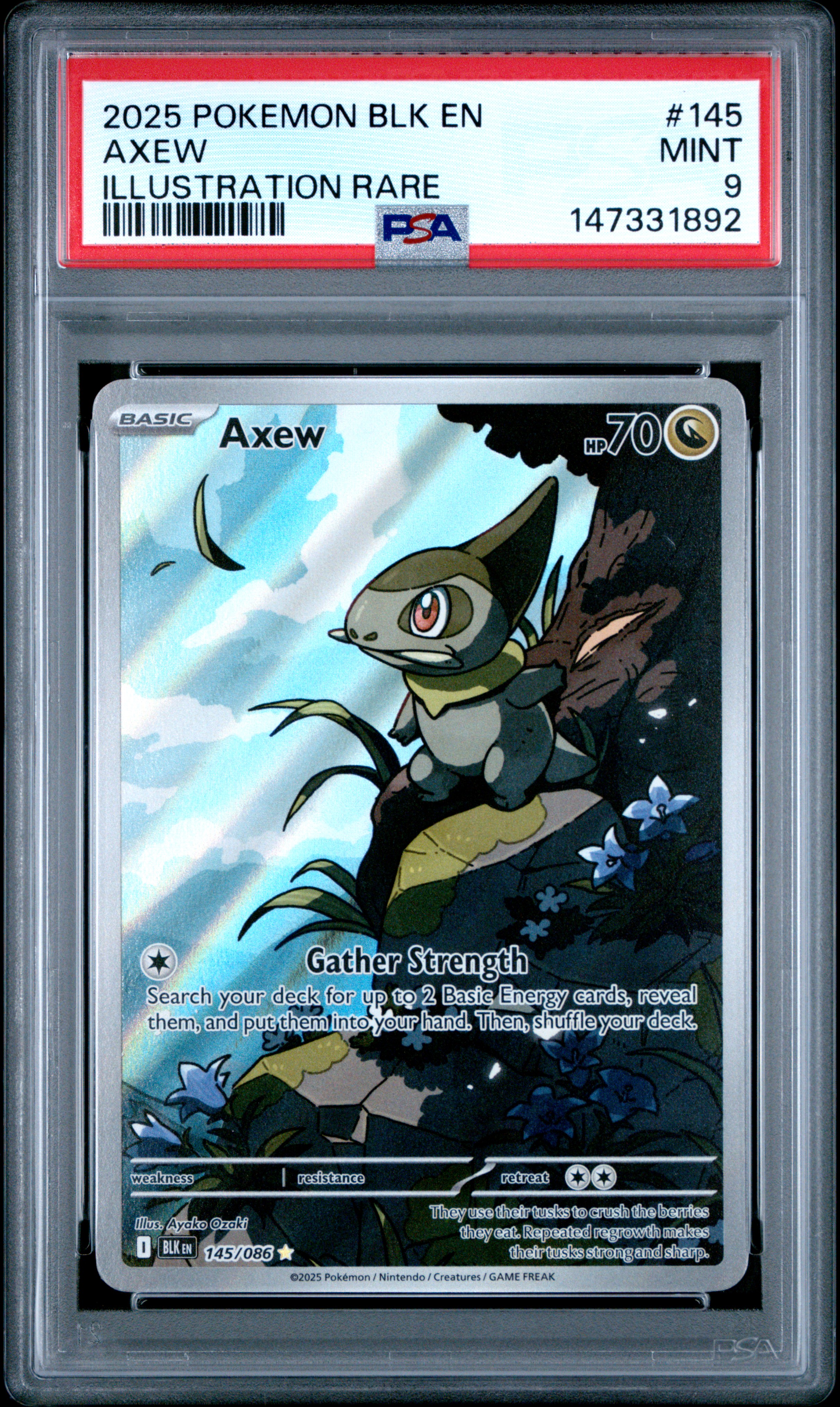 2025 POKEMON BLK EN-BLACK BOLT #145 AXEW ILLUSTRATION RARE