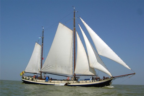 SAIL AMSTERDAM 2020