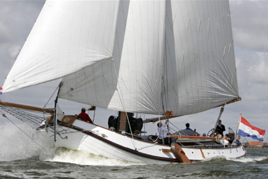 Detail image of Aukje Zwaantje