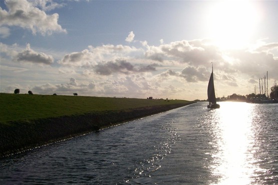 Hoorn