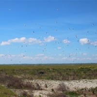 blog-marker-wadden