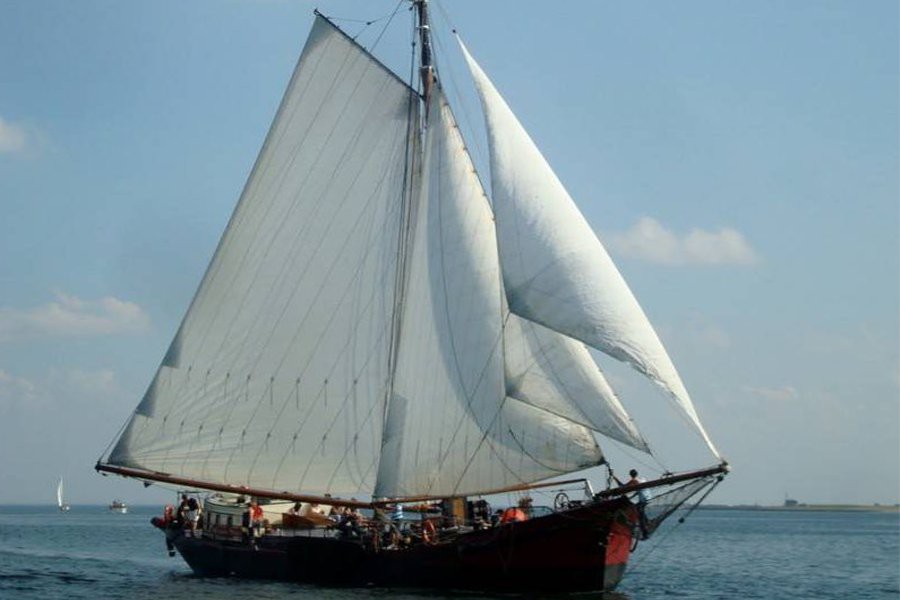 Detail image of Nieuwe Maen