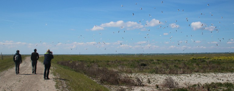 Marker Wadden