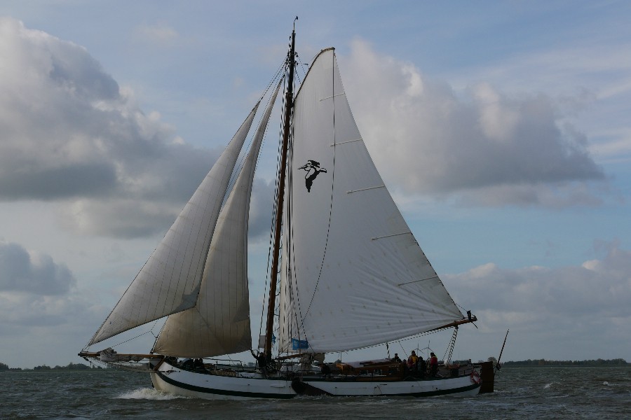 Detail image of Pelikaan