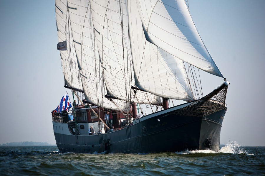 Detail image of Mare fan Fryslan