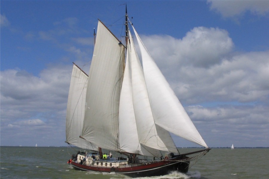 Detailafbeelding van Eenhoorn