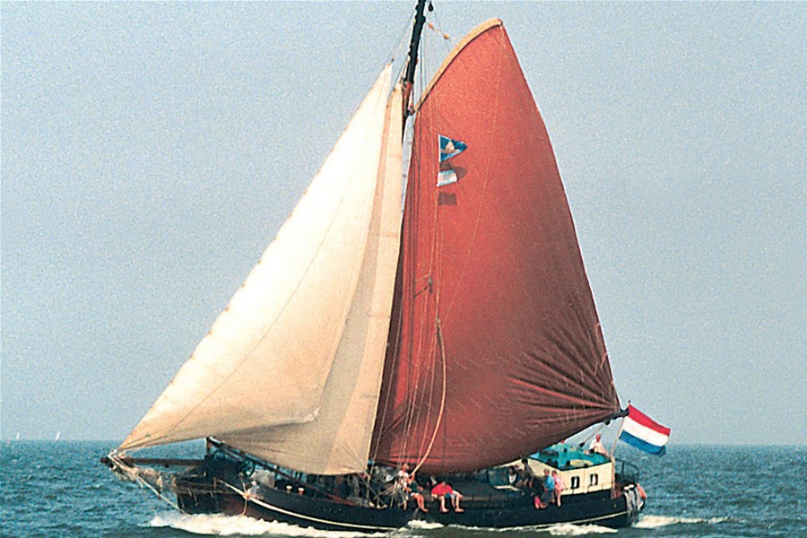 Detailafbeelding van Noordster