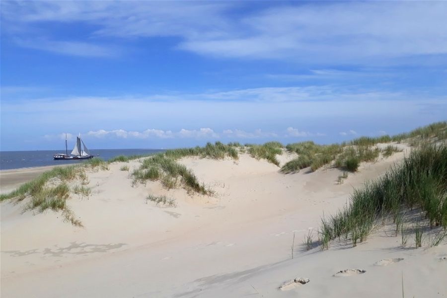 Detailafbeelding van Wandeling over het eiland Vlieland