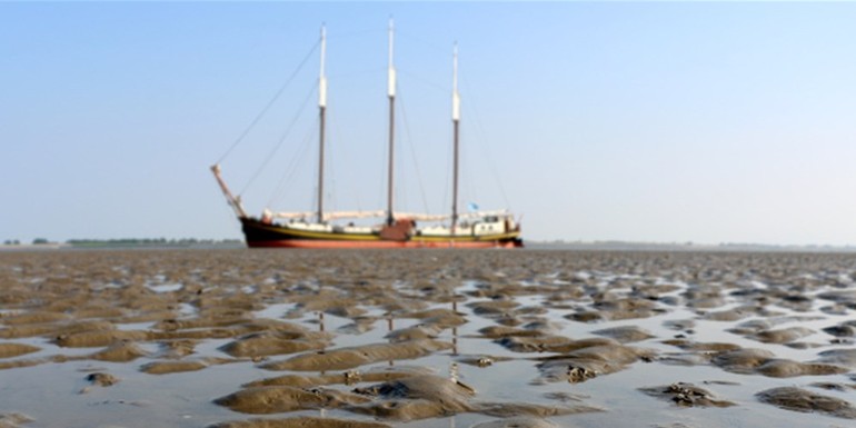 Droogvallen-Wad-Ambiance-700x300