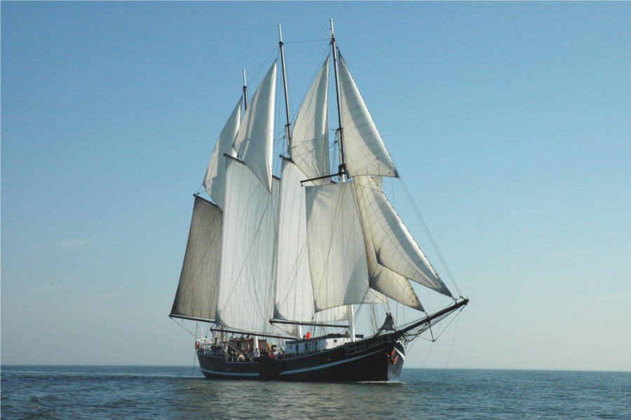 Detailbild von Vrijheid