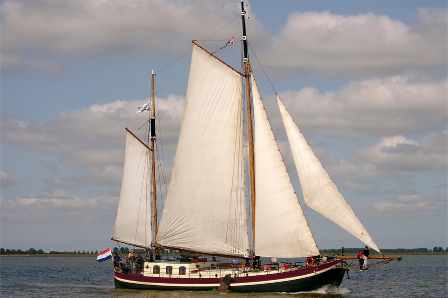Detailafbeelding van Actia
