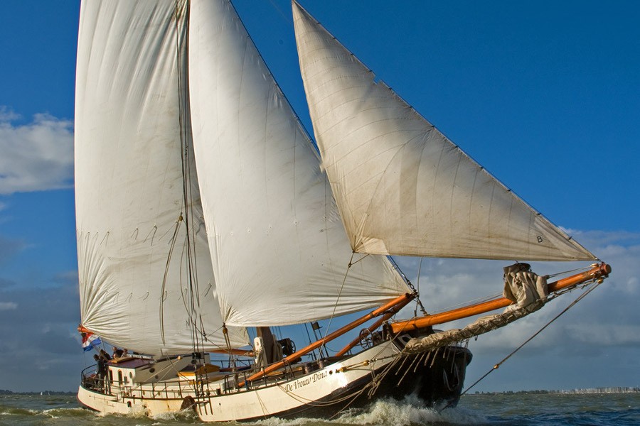 Detail image of Vrouw Dina