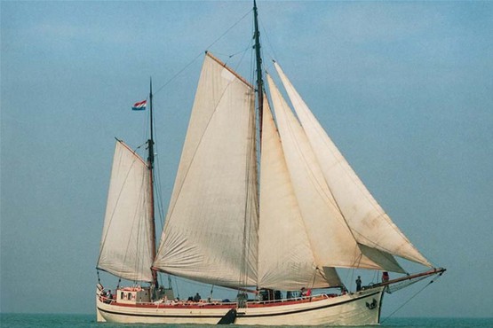 Hoorn