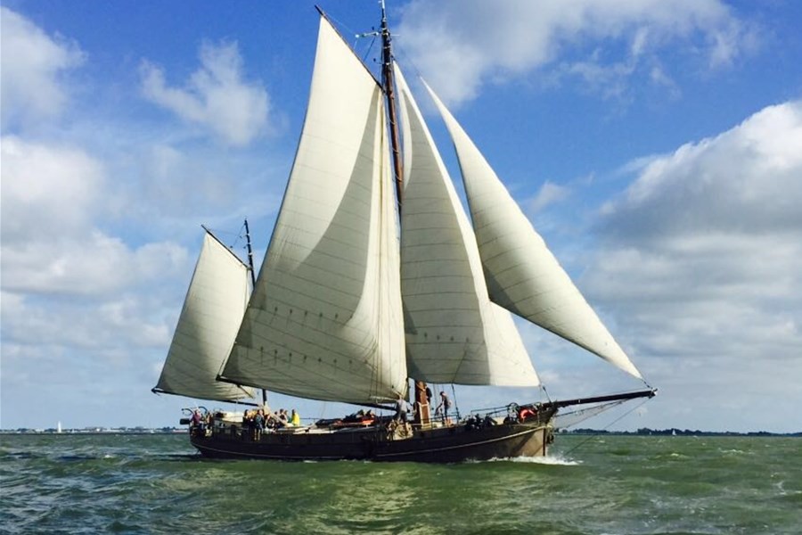 Detailafbeelding van Loungeklipper de Vrijheid