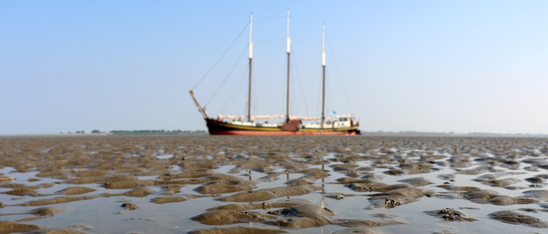 Droogvallen-Wad-Ambiance-700x300