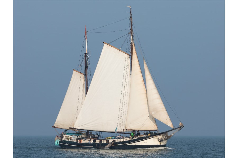 Detail image of Allure