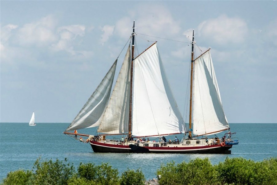 Detail image of Amalia