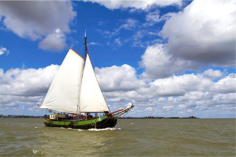 Detail image of Albatros
