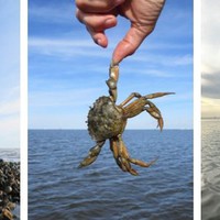Blog Droogvallen op de Waddenzee met de Linde 700X300